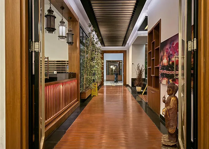 Qoople Elite Admiral *